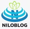 ضرورت ترویج فرهنگ نماز ازاولویت برنامه های فرهنگی